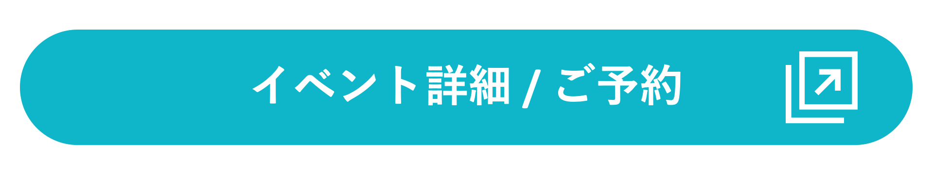 WEBサイトボタン2